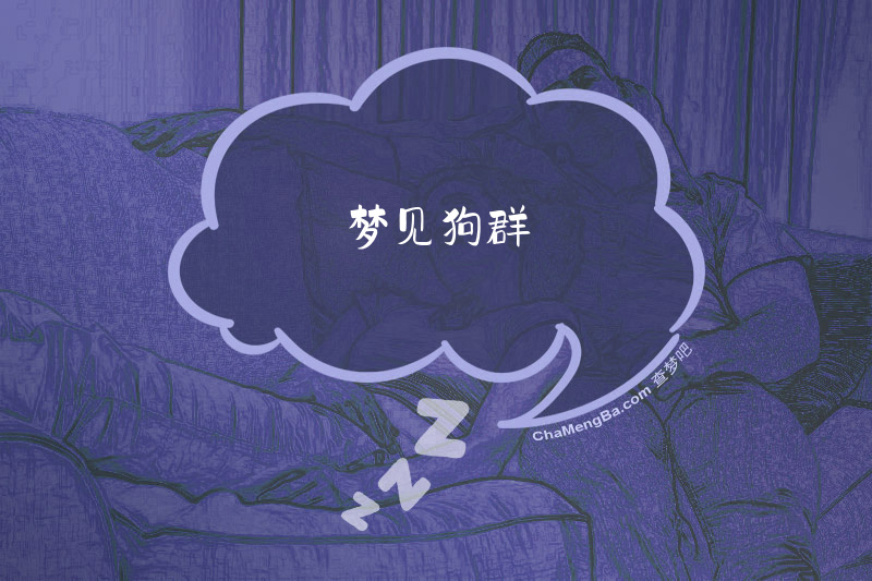 梦见狗群