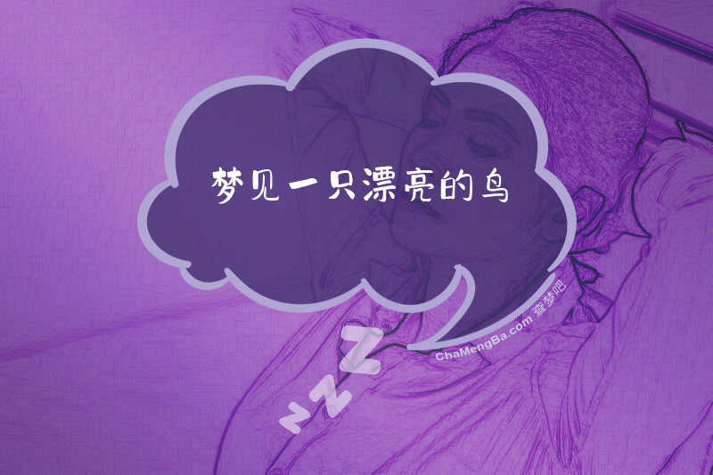 梦见一只漂亮的鸟