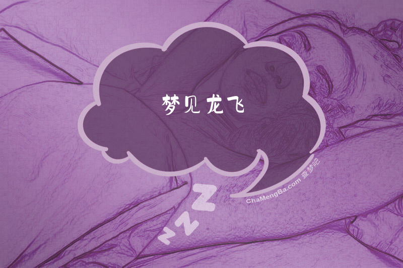 梦见龙飞