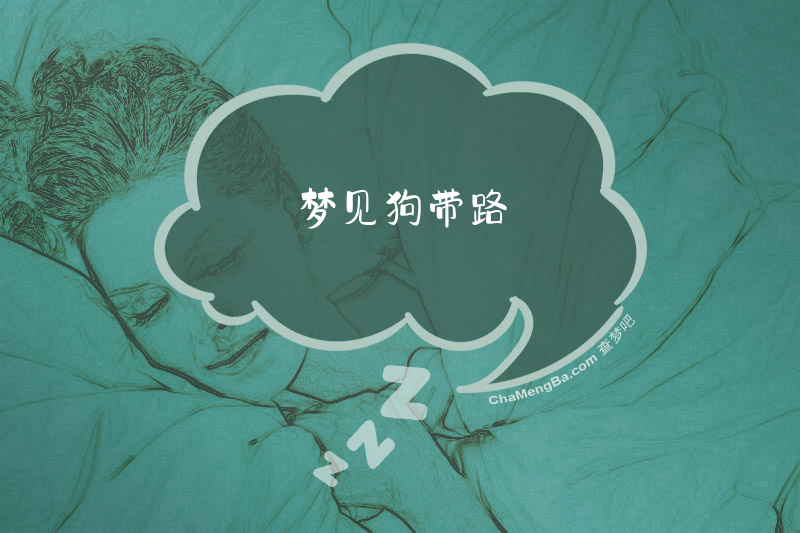 梦见狗带路