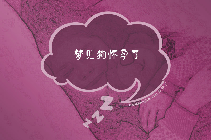 梦见狗怀孕了