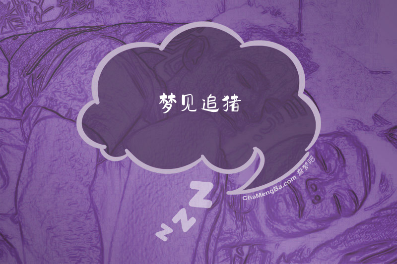 梦见追猪