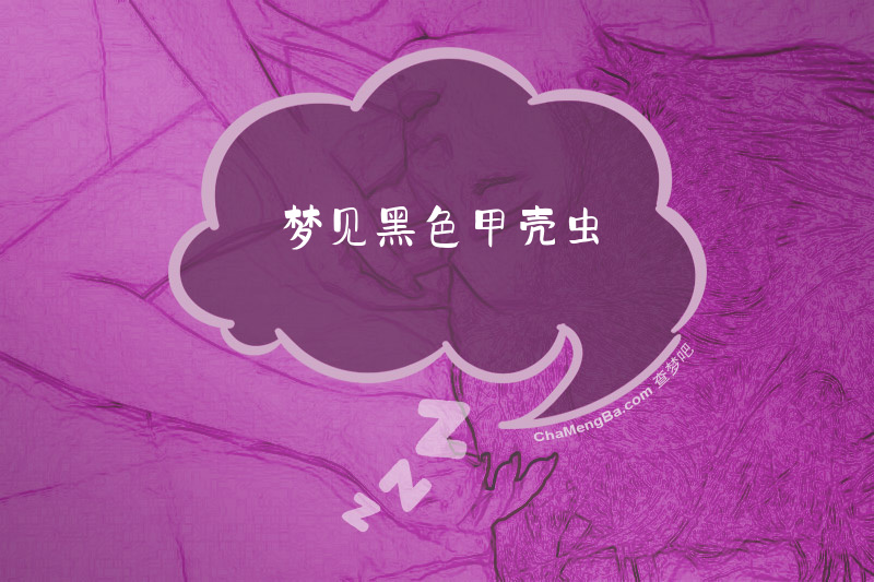 梦见黑色甲壳虫