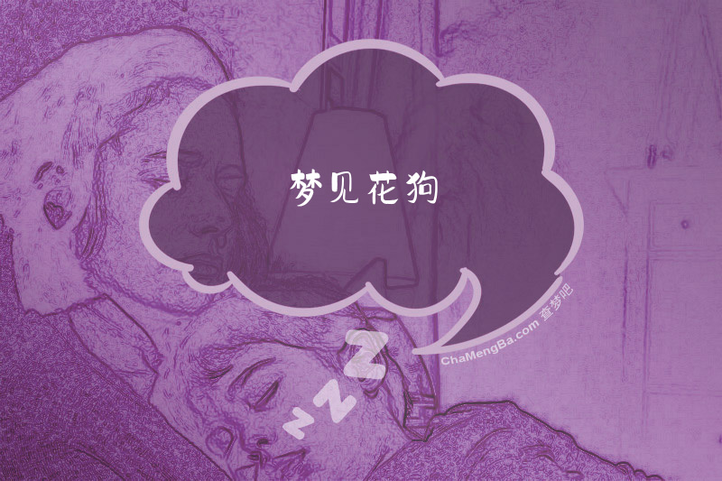 梦见花狗
