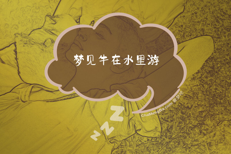 梦见牛在水里游