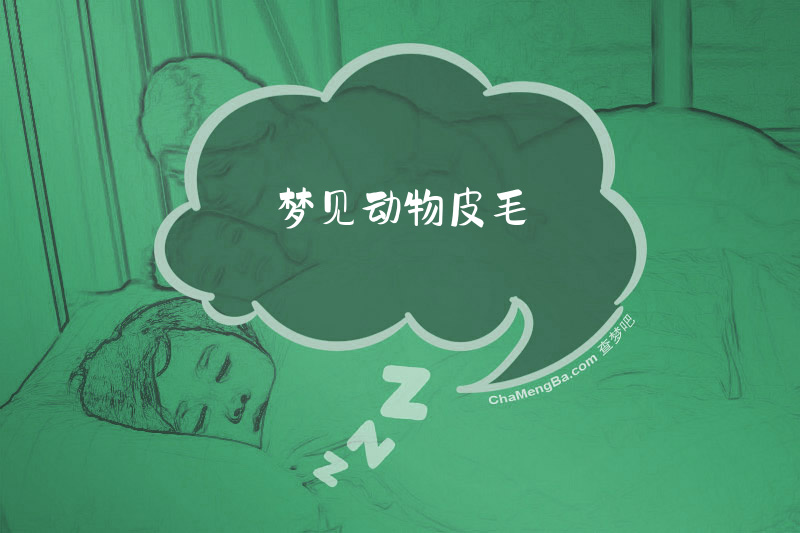 梦见动物皮毛