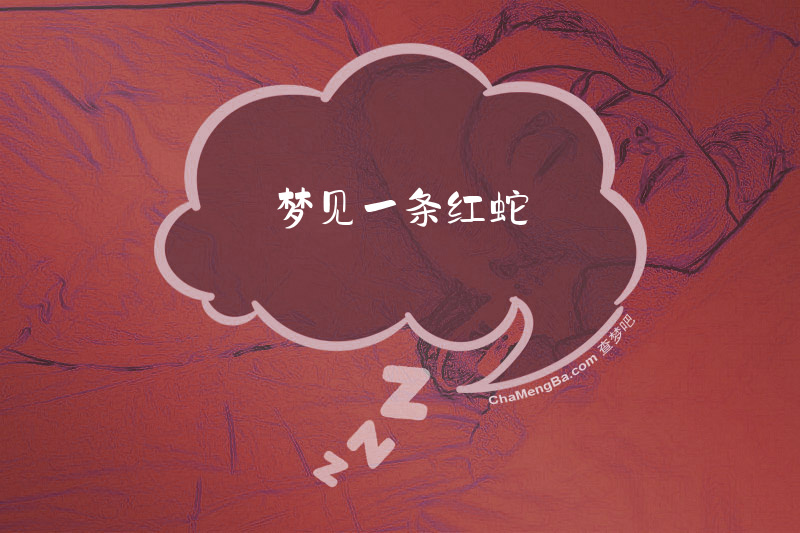 梦见一条红蛇
