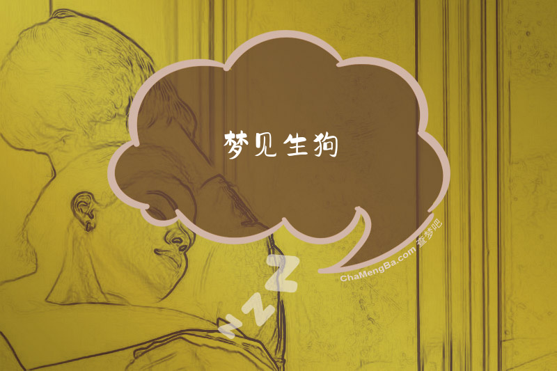 梦见生狗