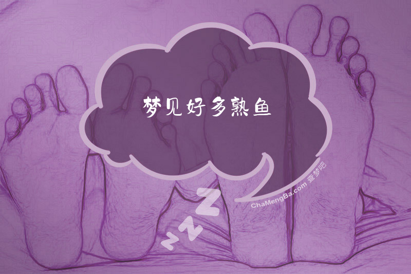 梦见好多熟鱼