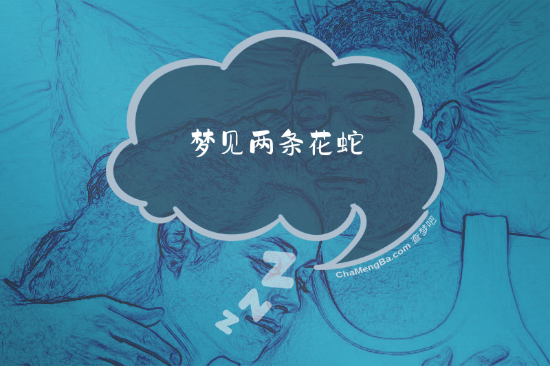 梦见两条花蛇
