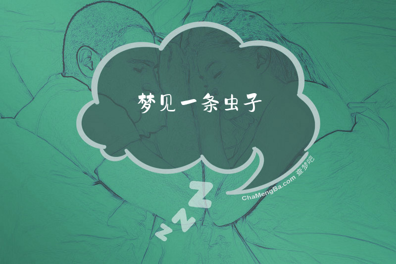 梦见一条虫子