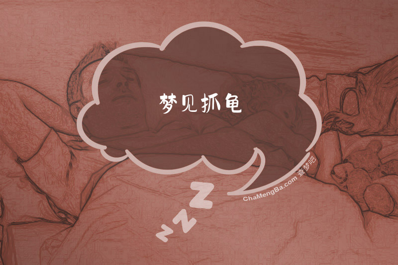 梦见抓龟