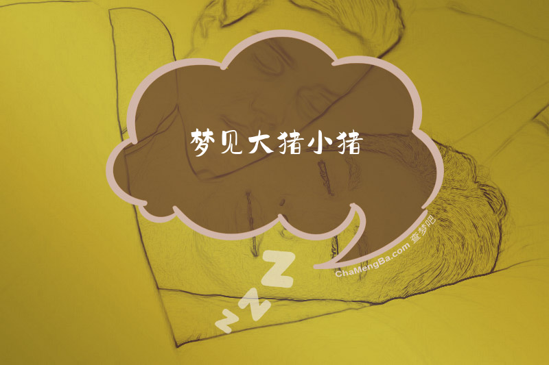 梦见大猪小猪