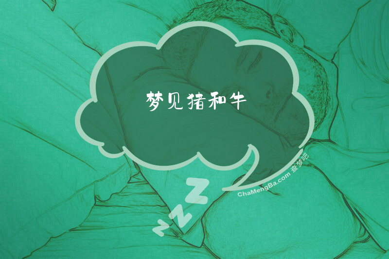 梦见猪和牛