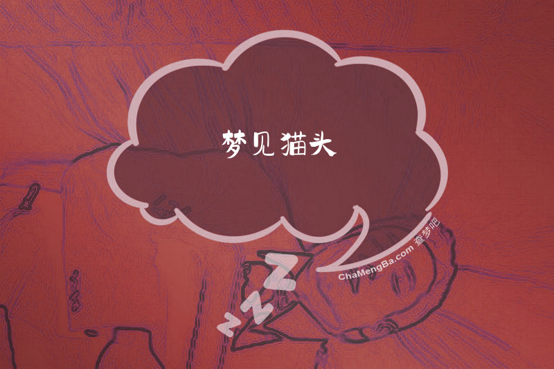 梦见猫头