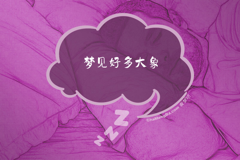 梦见好多大象