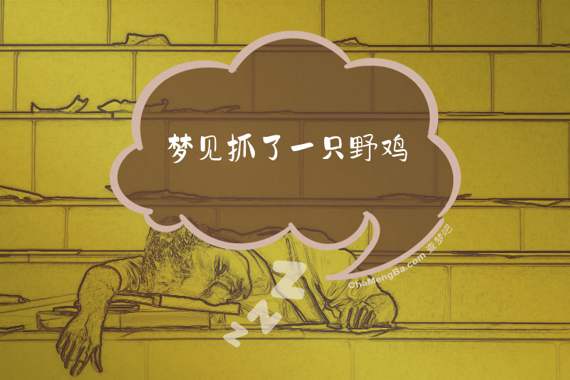 梦见抓了一只野鸡