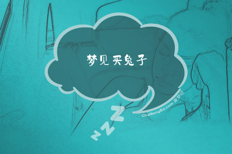 梦见买兔子