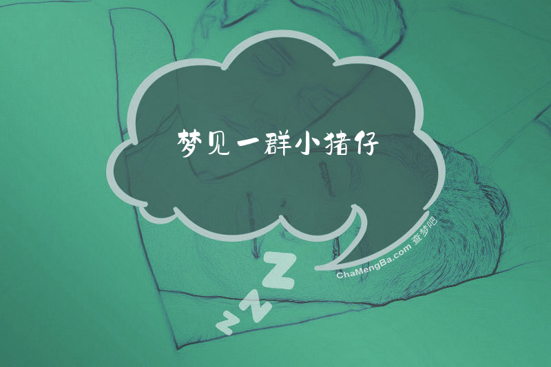 梦见一群小猪仔