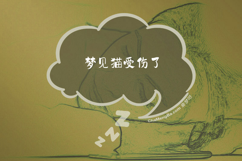梦见猫受伤了