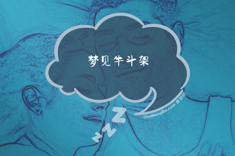 梦见牛斗架