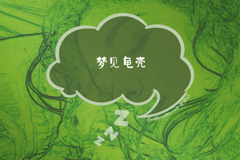 梦见龟壳