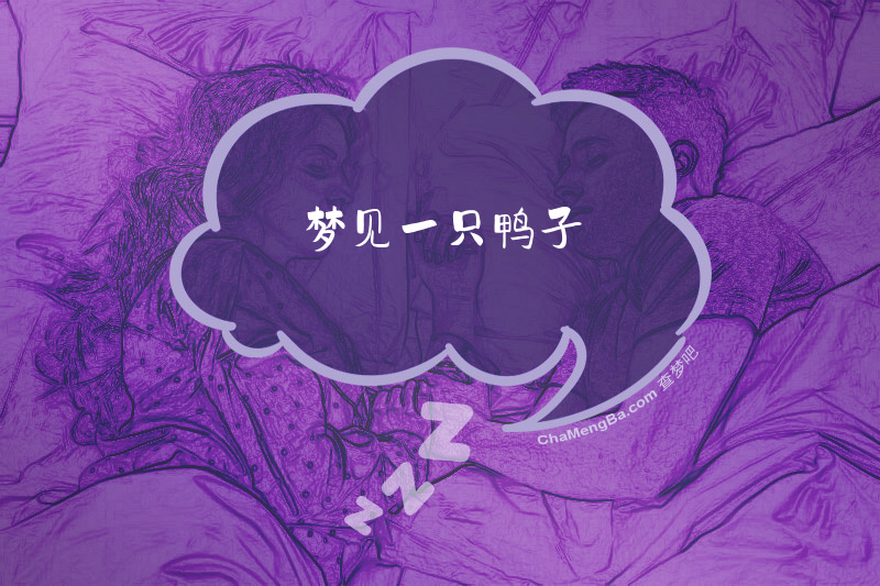 梦见一只鸭子