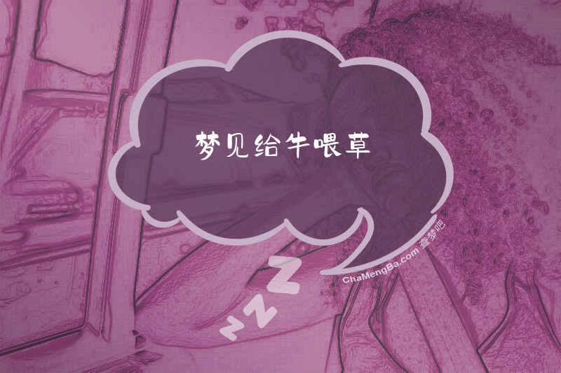 梦见给牛喂草