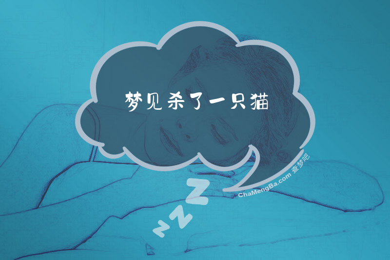 梦见杀了一只猫