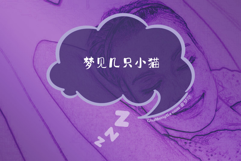 梦见几只小猫