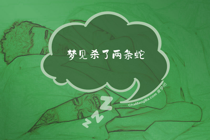 梦见杀了两条蛇