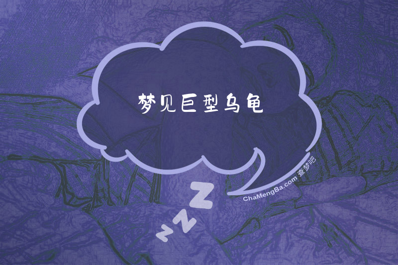梦见巨型乌龟