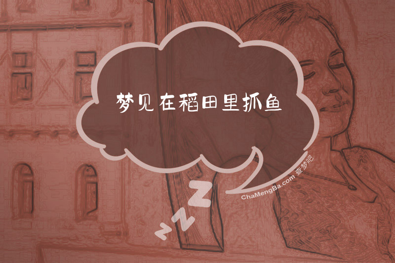 梦见在稻田里抓鱼