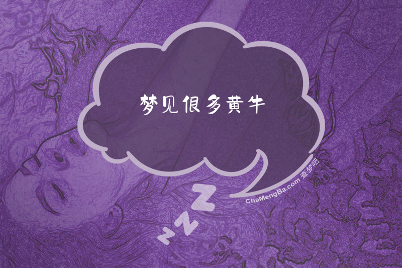 梦见很多黄牛