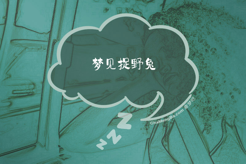 梦见捉野兔