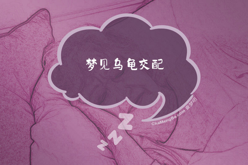 梦见乌龟交配