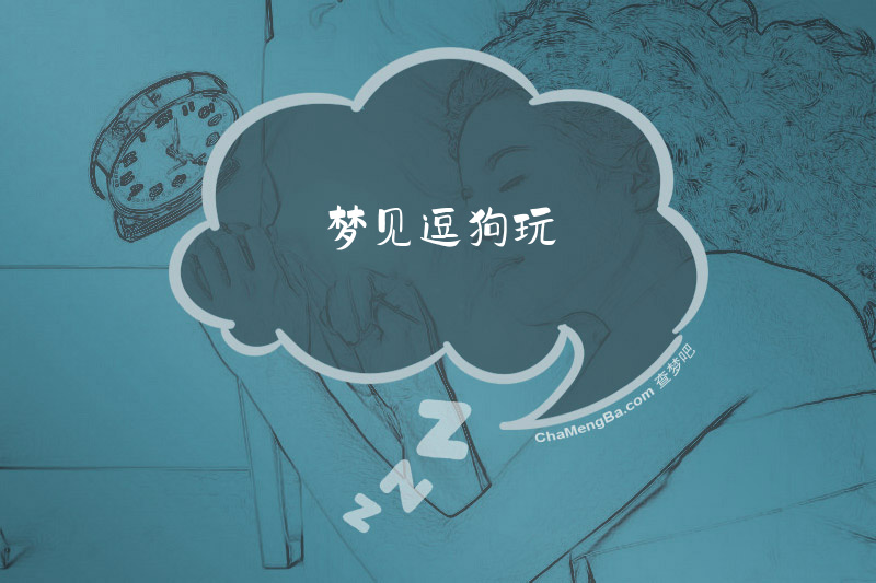 梦见逗狗玩