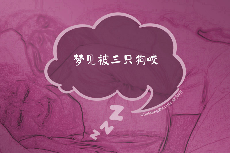 梦见被三只狗咬