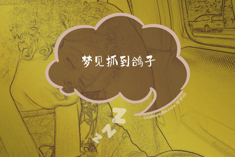 梦见抓到鸽子