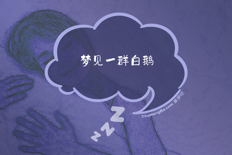 梦见一群白鹅