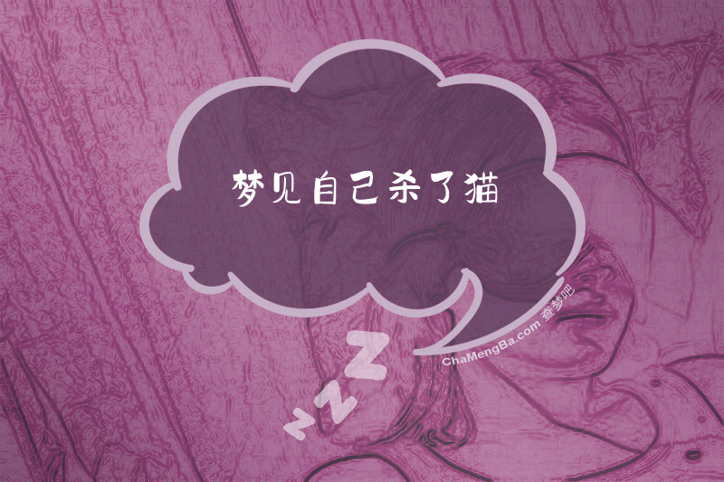 梦见自己杀了猫