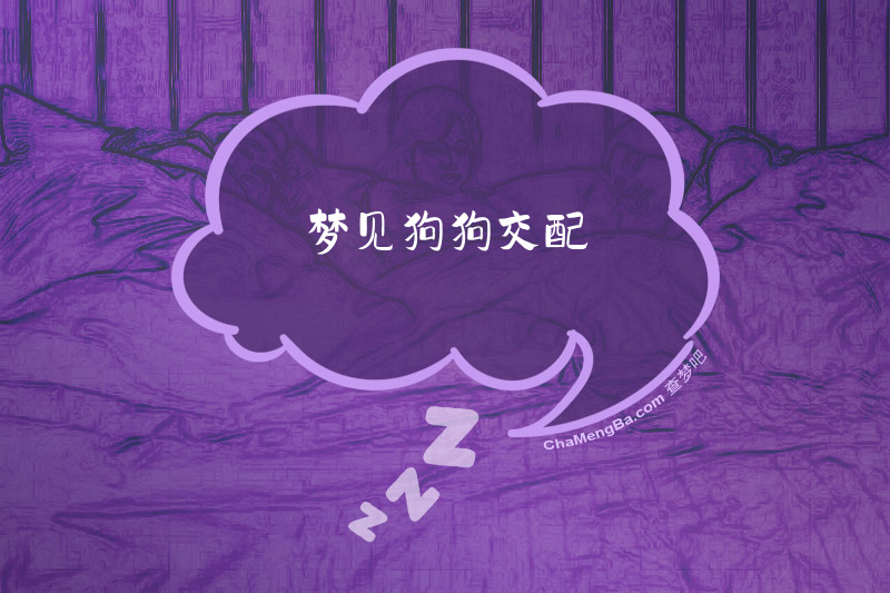 梦见狗狗交配