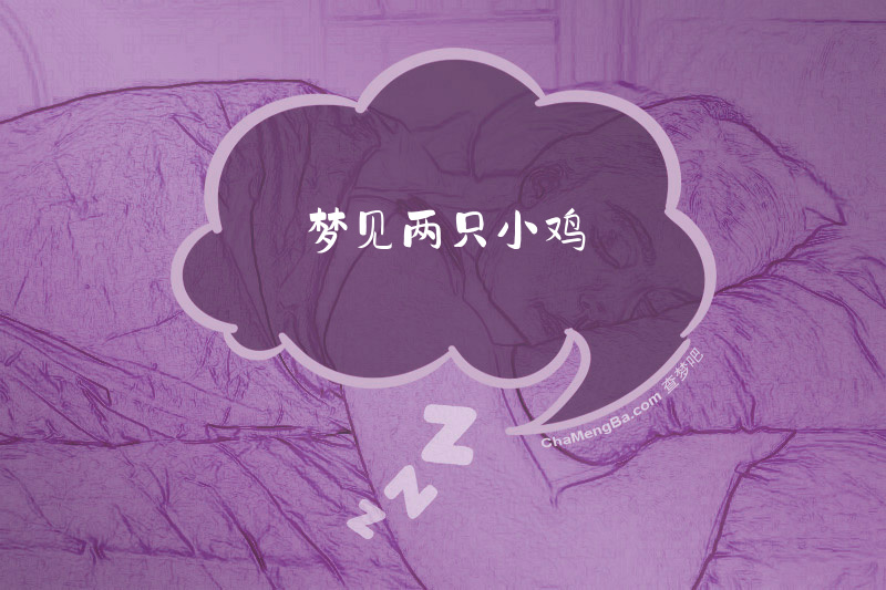 梦见两只小鸡