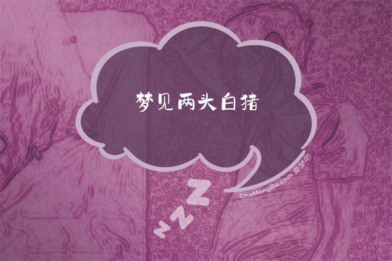 梦见两头白猪