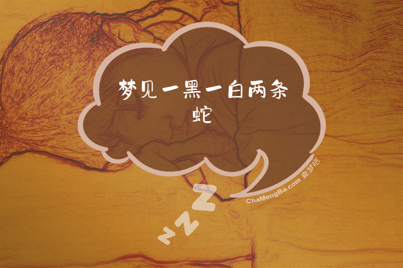 梦见一黑一白两条蛇