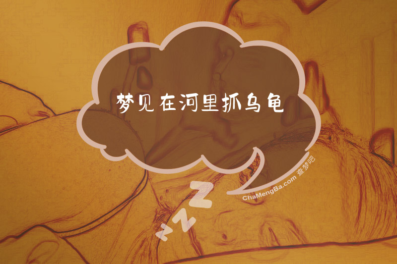 梦见在河里抓乌龟