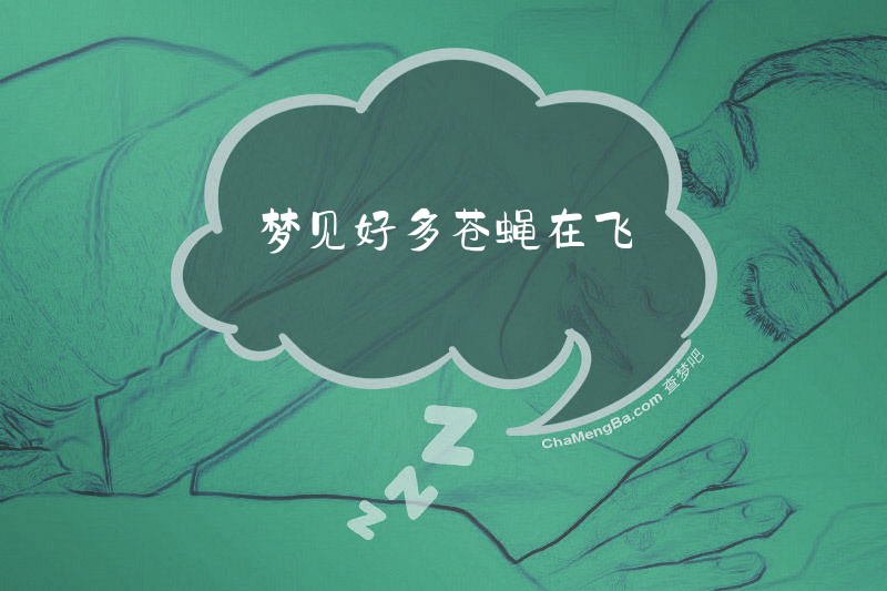 梦见好多苍蝇在飞