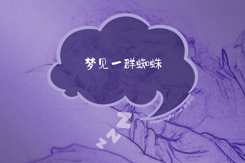 梦见一群蜘蛛