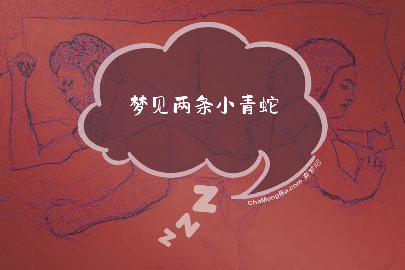梦见两条小青蛇