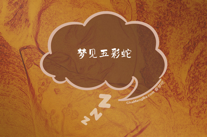 梦见五彩蛇